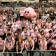 Illustration for article titled 536 People Set The World Record For Blowing Gum Bubbles